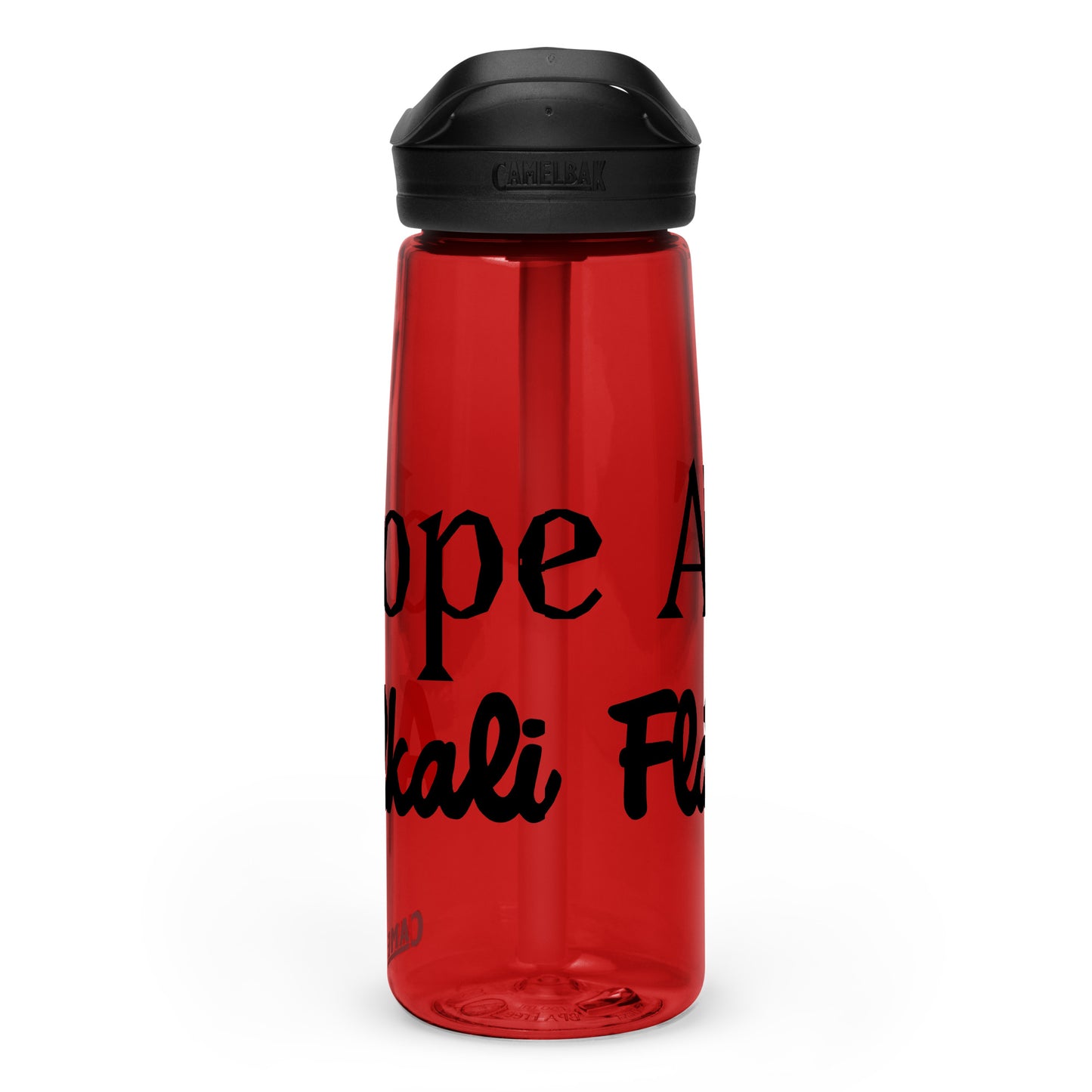 Sports water bottle