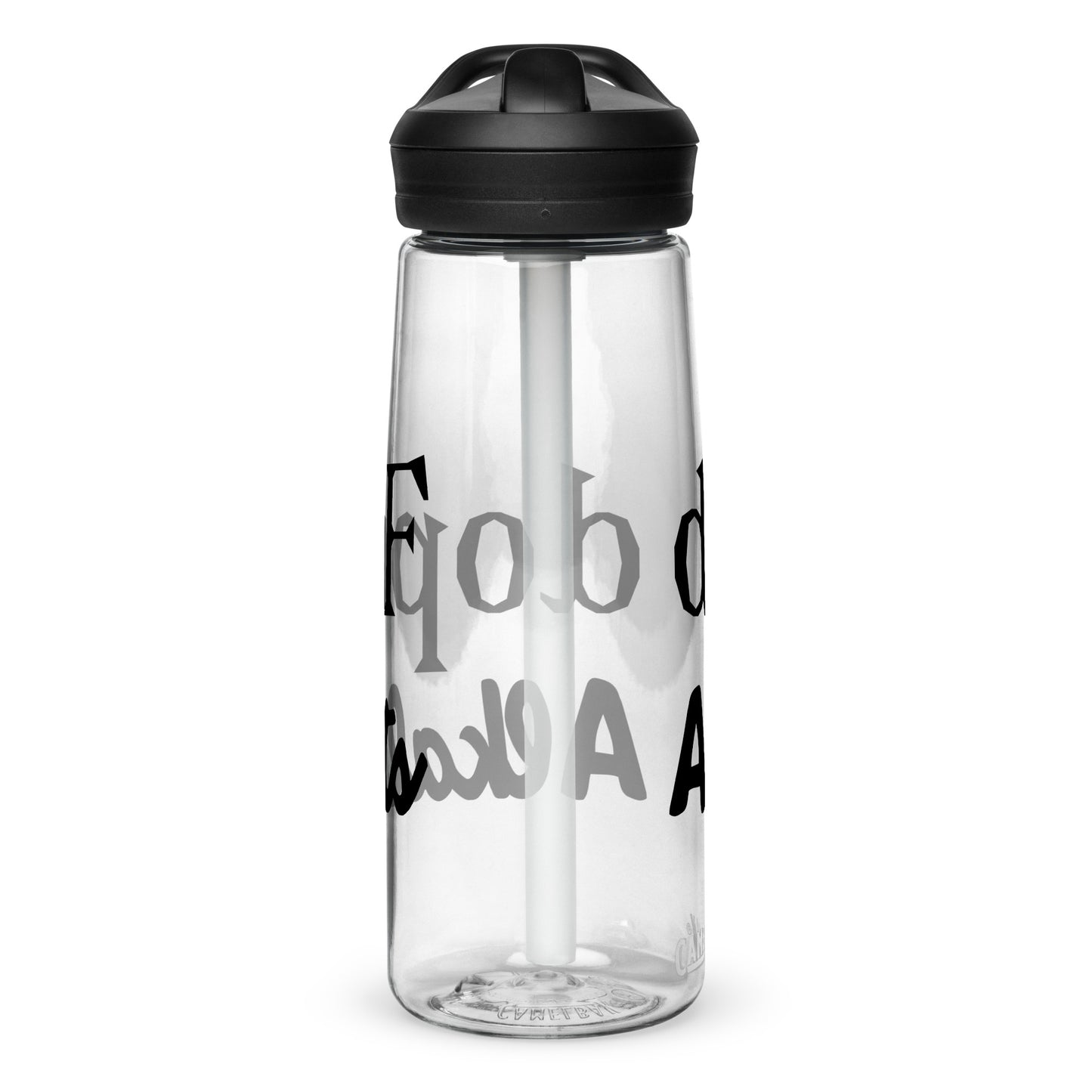 Sports water bottle