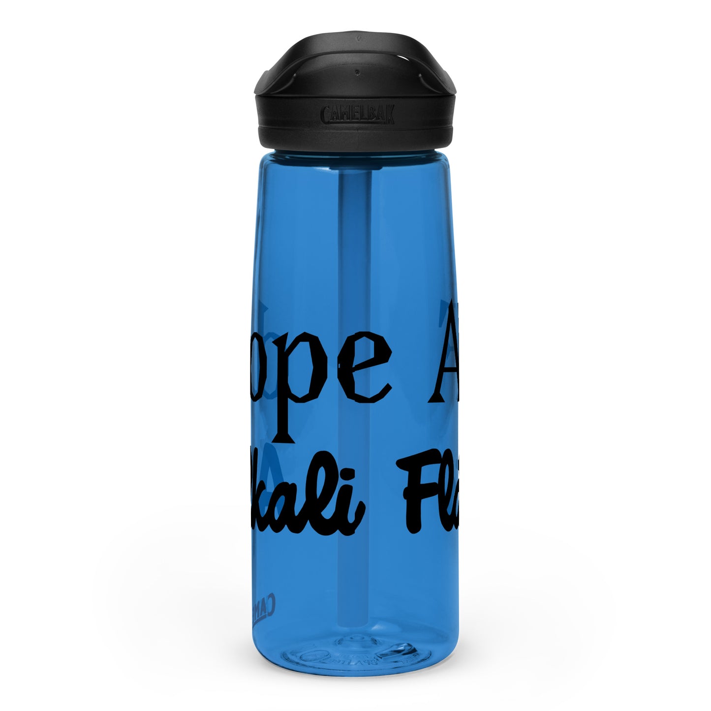 Sports water bottle